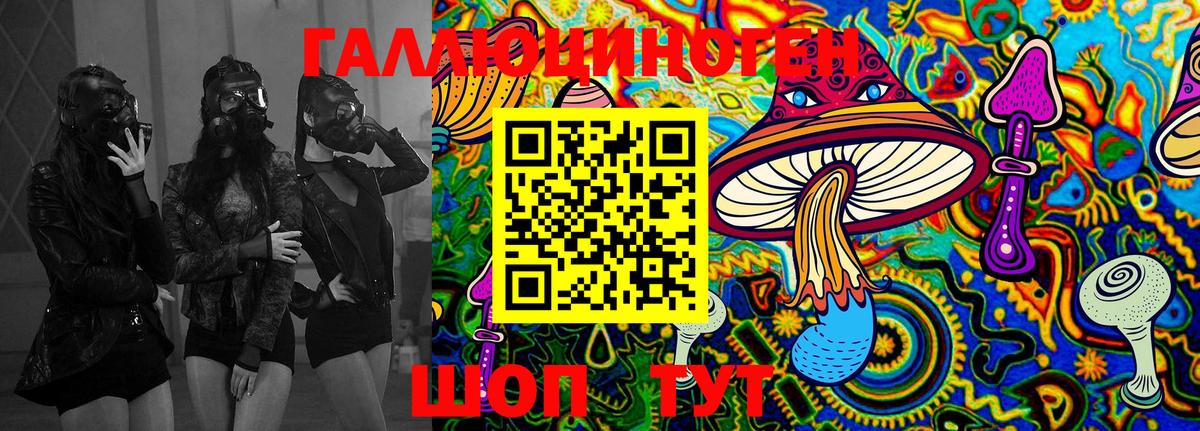 закладки  Вход с VPN  Норильск  Галлюциногенные грибы GOLDEN TEACHER 